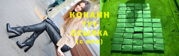 apvp Дмитриев