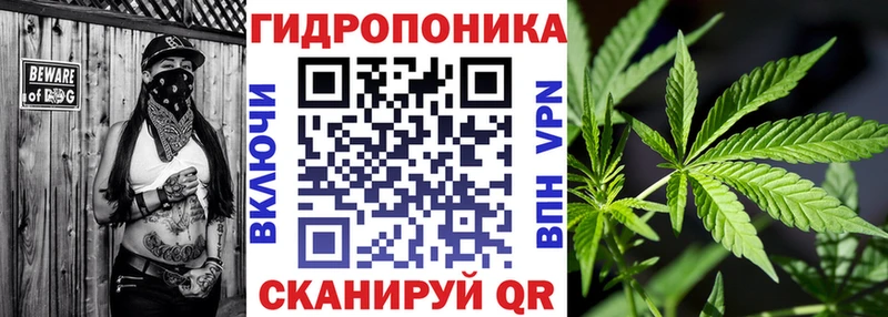 Бошки марихуана Bruce Banner  Купить закладки  Россошь 